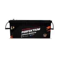 PERFEKTIUM Akumulator LiFePO4 25,6V 100Ah Smart BMS, Bluetooth PB 9331615069252